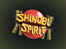 Shinobi Spirit