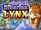 Siberian Lynx