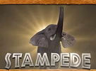 Stampede