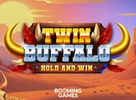 Twin Buffalo Hold and Win
