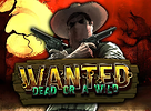 Wanted Dead Or A Wild