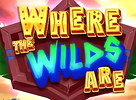 Where the Wilds Are
