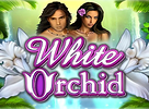 logotipo de White Orchid