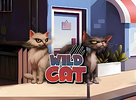Wild Cat preview