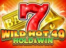 Wild Hot 40 Hold and Win
