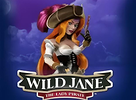 Wild Jane The Lady Pirate