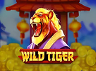 Wild Tiger