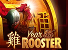 Year of the Rooster