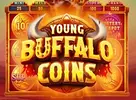 Young Buffalo Coins