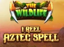 1 Reel Aztec Spell