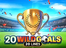 20 Wild Goals
