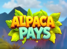 Alpaca Pays logo