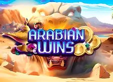 Arabian Wins logo