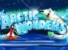 logotipo de Arctic Wonders