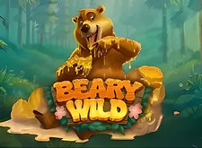 Beary Wild