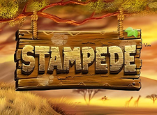 Betsoft Stampede logo