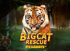 Big Cat Rescue MegaWays