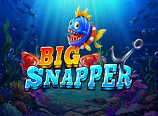 Big Snapper preview