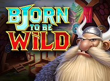 Bjorn To Be Wild logo