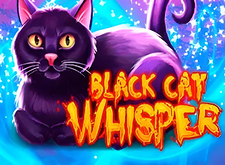 Black Cat Whisper preview