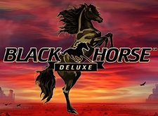 Black Horse Deluxe logo