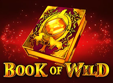 Book Of Wild