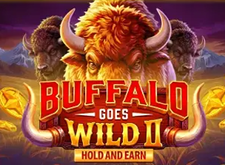 Buffalo Goes Wild 2