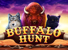 Buffalo Hunt