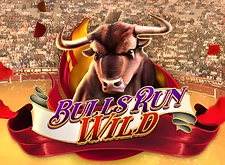 Bulls Run Wild