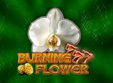 Burning Flower logo