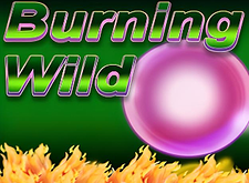 Burning Wild logo