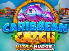 Caribbean Catch logo