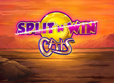 Cats Split n Win
