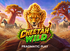 Cheetah Wild