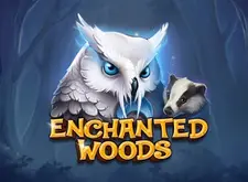 CT Interactive Enchanted Woods logo
