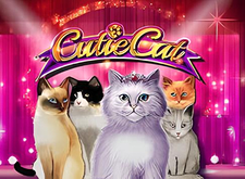 logotipo de Cutie Cat