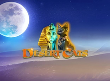Desert Cats preview