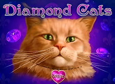 Diamond Cats