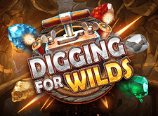Digging For Wilds