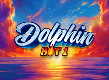 Dolphin Hot 1 logo