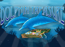 Dolphin Treasure logo