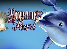 Dolphins Pearl preview