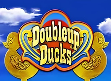 logotipo de Doubleup Ducks