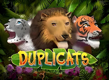 Duplicats logo