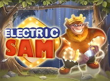 logotipo de Electric Sam