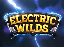 Electric Wilds logo