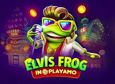 Elvis Frog in Playamo logo