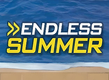 logotipo de Endless Summer