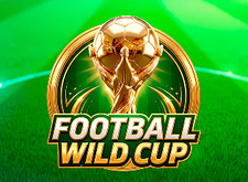 Football Wild Cup