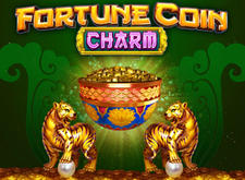 Fortune Coin Charm preview